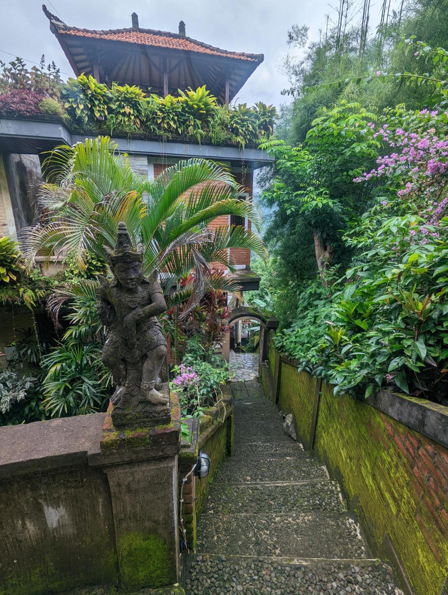 Bali Munduk Delux Bungalow Villa Singaraja Εξωτερικό φωτογραφία