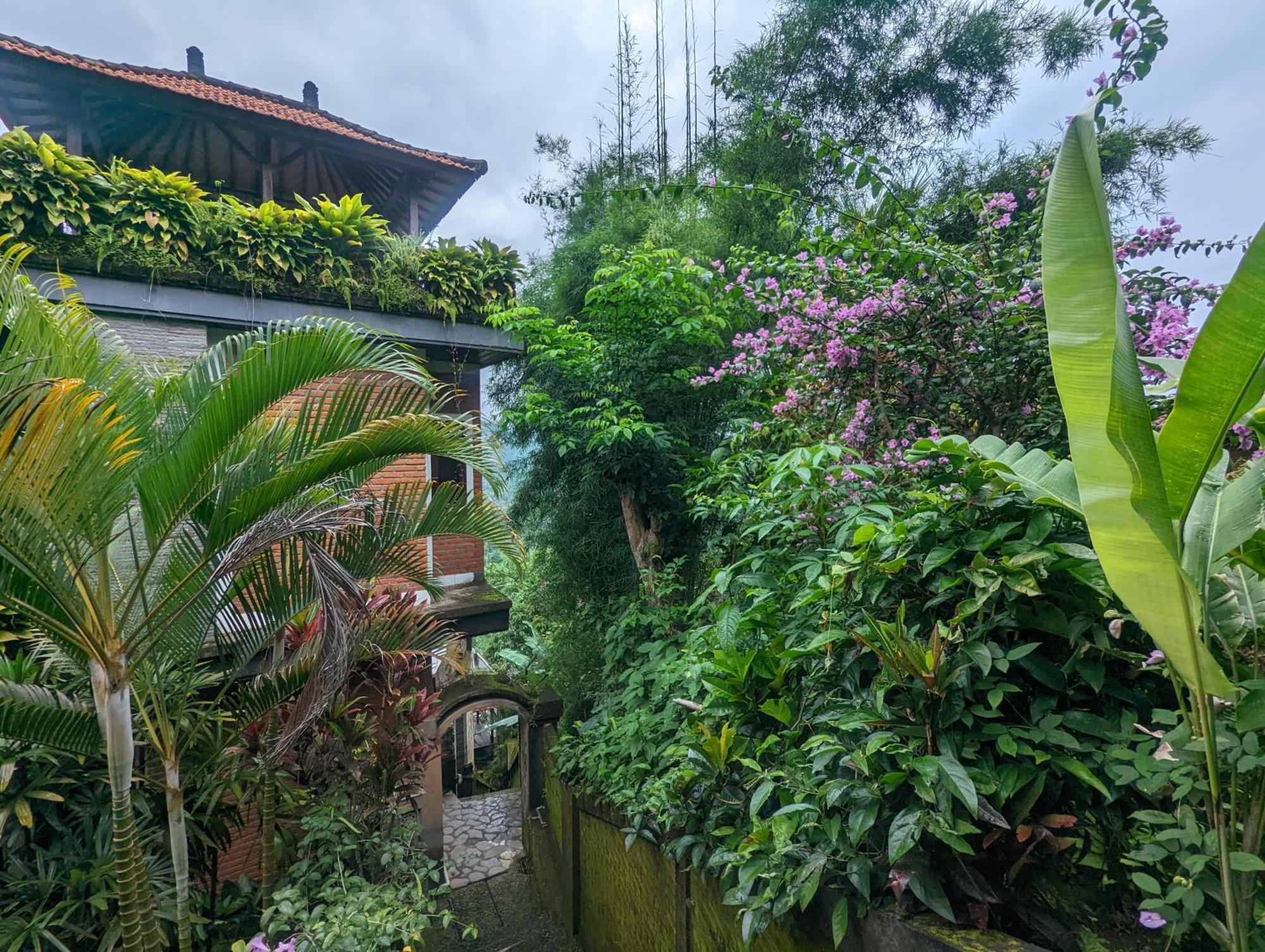Bali Munduk Delux Bungalow Villa Singaraja Εξωτερικό φωτογραφία
